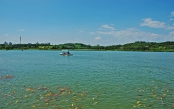 水库湖泊